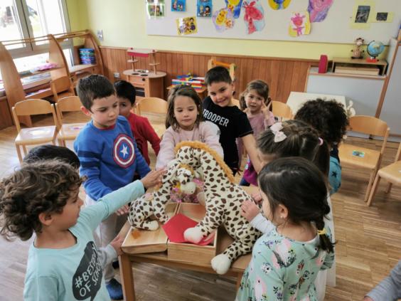 IMG_20210305_105636-1