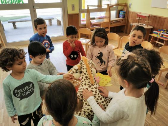 IMG_20210305_105649-1