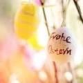 ostern_f_improf_340x148