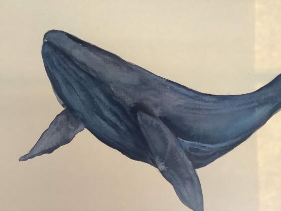 DD2C94A4-8D94-447F-B959-E38B1FA0C492