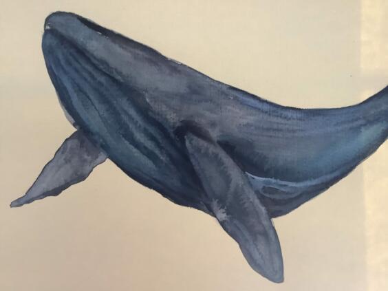 F7B0CD9B-787F-4E23-A9D3-3A56EC8F8BC6