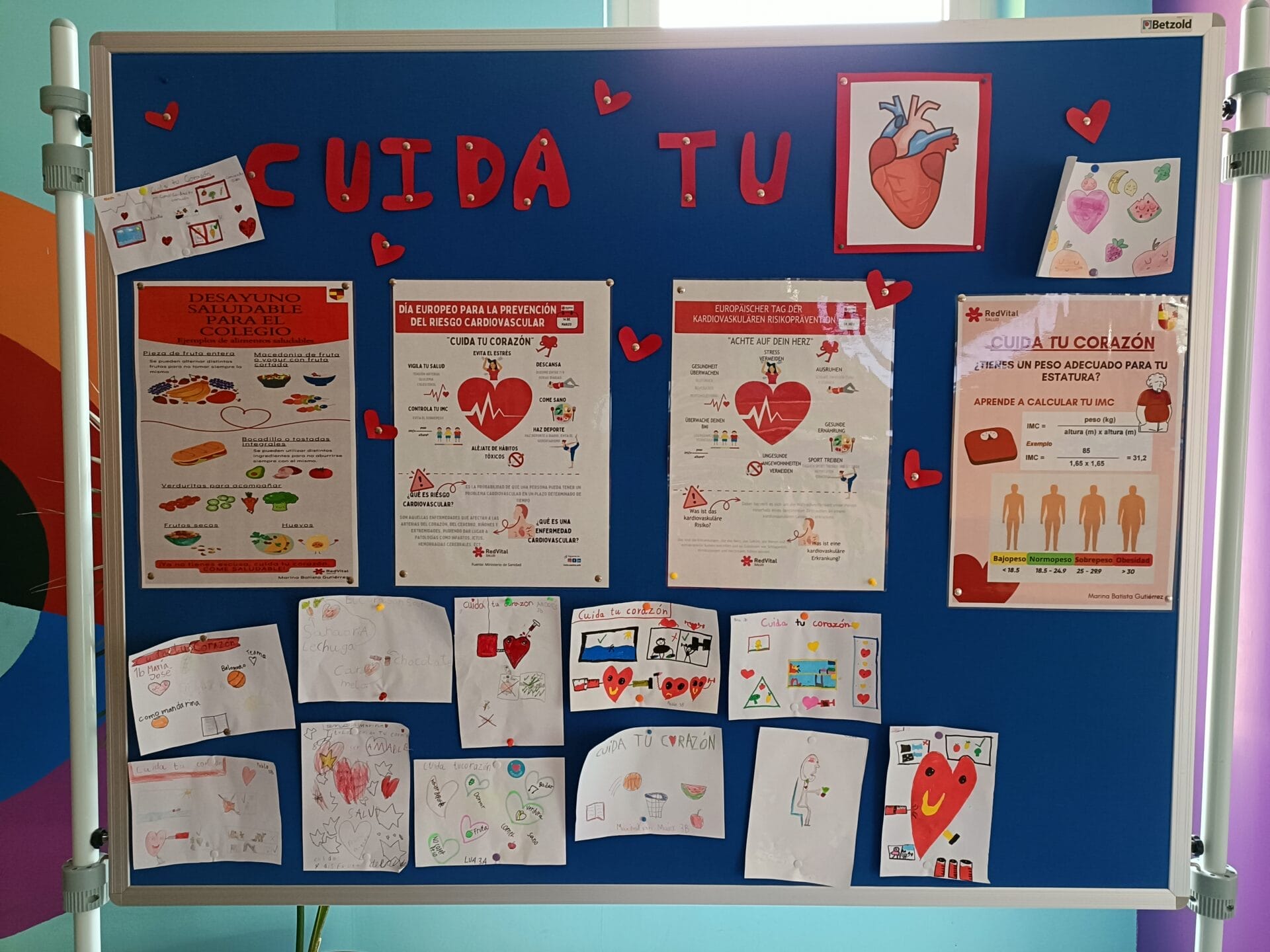 Prevención del Riesgo Cardiovascular (3)
